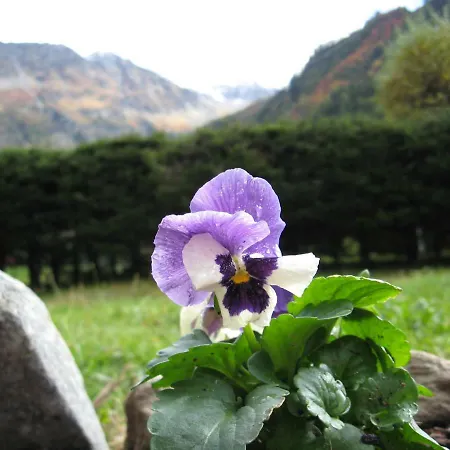 Pyrene Mont-blanc Σαμονί