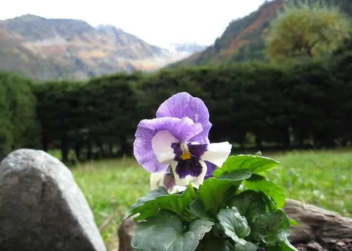 Pyrene Mont-blanc Chamonix
